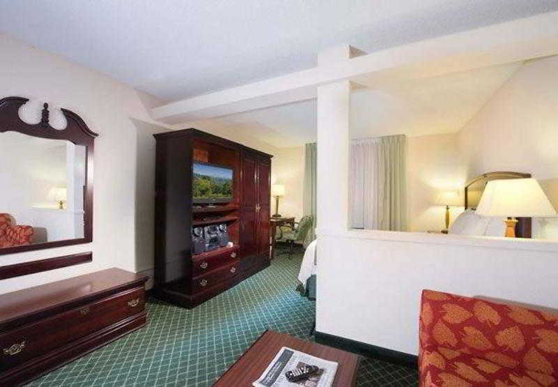 Fairfield Inn & Suites By Marriott Atlanta Perimeter Center Rum bild